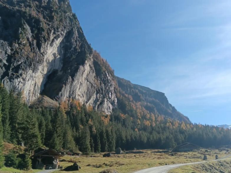 Uitzicht door de sparren over het groene dal met boerderijen – Rondweg langs de Untersulzbach-waterval, Wildkogel Arena