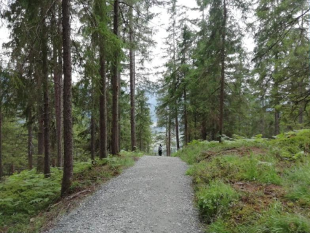 Omheinde alpenweide met keien en een groene bergrug erachter – Wildkogel Panoramaweg, Wildkogel Arena