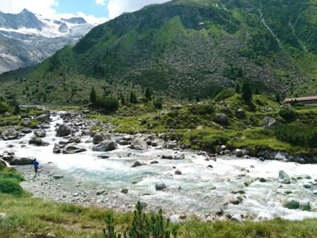 Grindweg door groene alpenweiden met beboste hellingen – Naar de Baumgartenalm in het Mühlbachtal, Wildkogel Arena